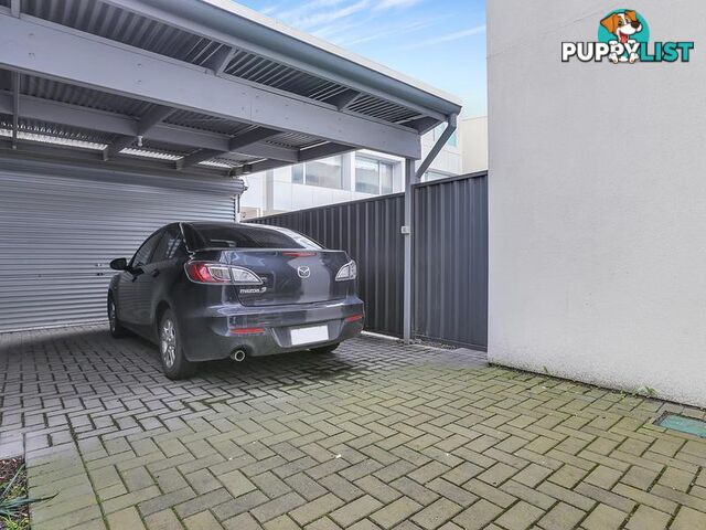 5/7-17 St Kitts Place MAWSON LAKES SA 5095