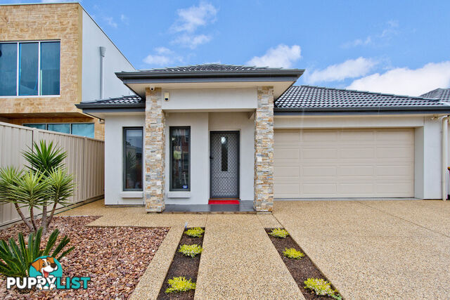 13 Birch Street FINDON SA 5023