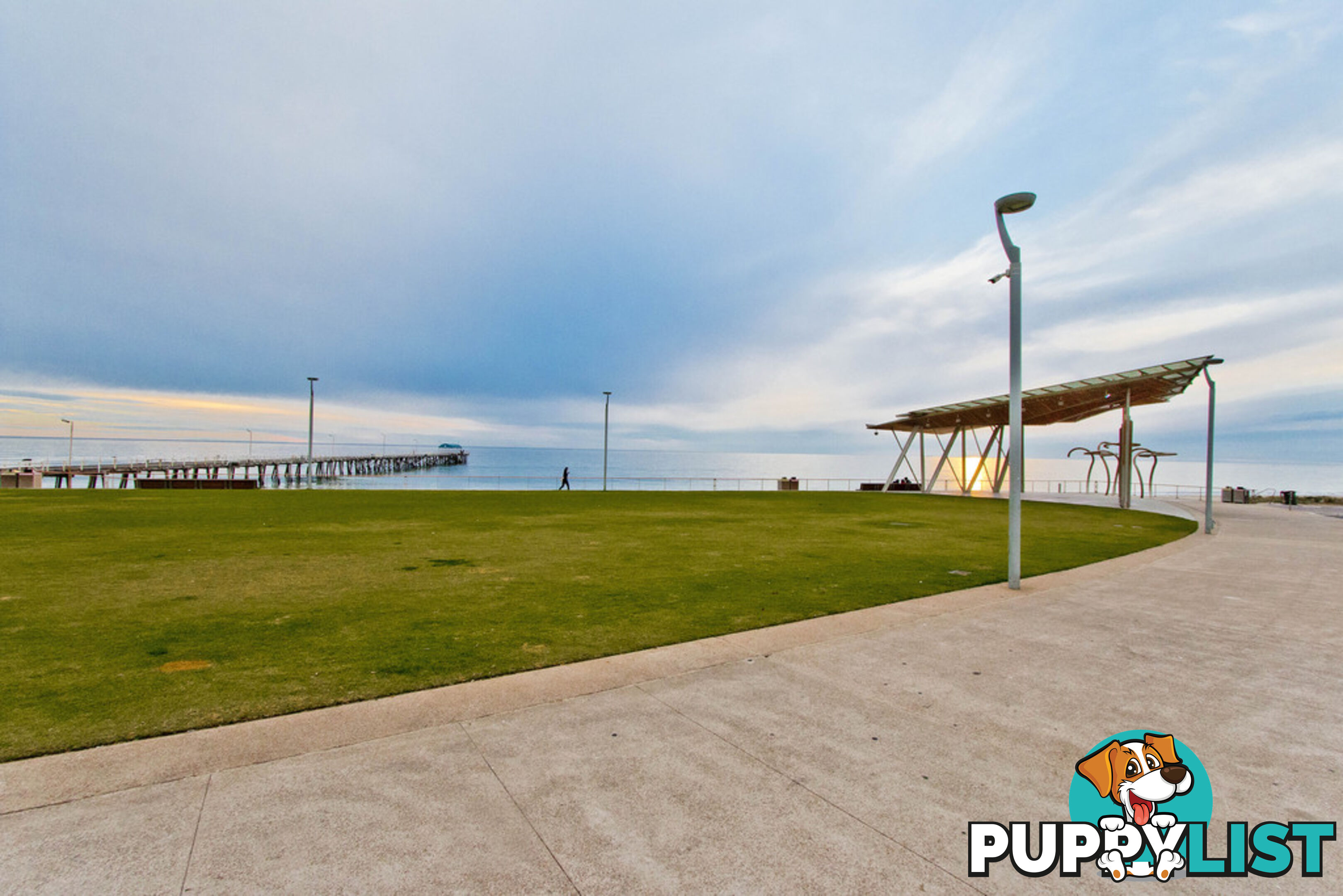 42 Greville Aveune FLINDERS PARK SA 5025