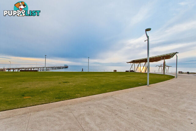 42 Greville Aveune FLINDERS PARK SA 5025
