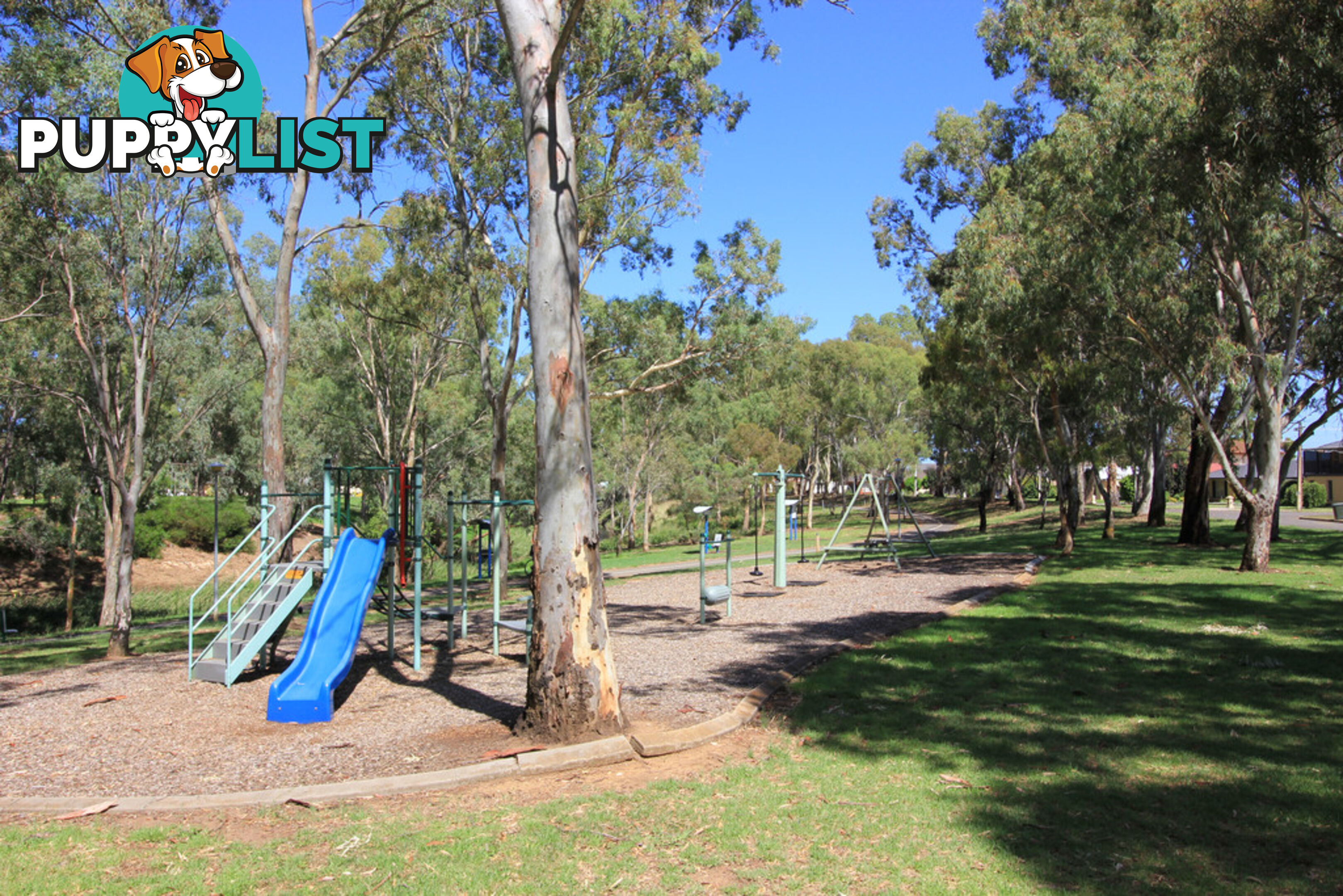42 Greville Aveune FLINDERS PARK SA 5025