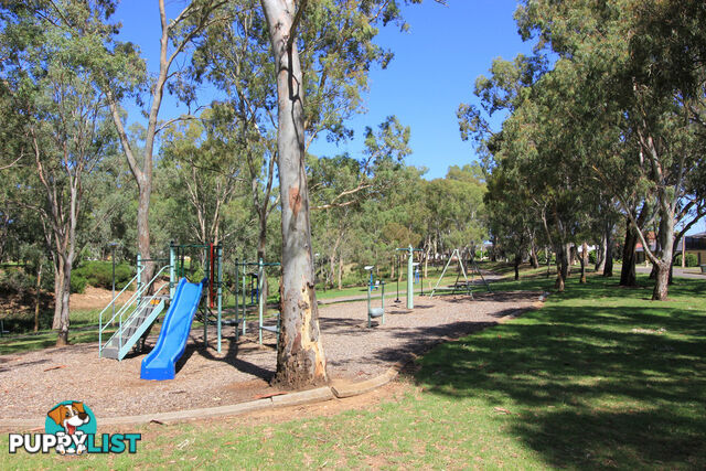 42 Greville Aveune FLINDERS PARK SA 5025