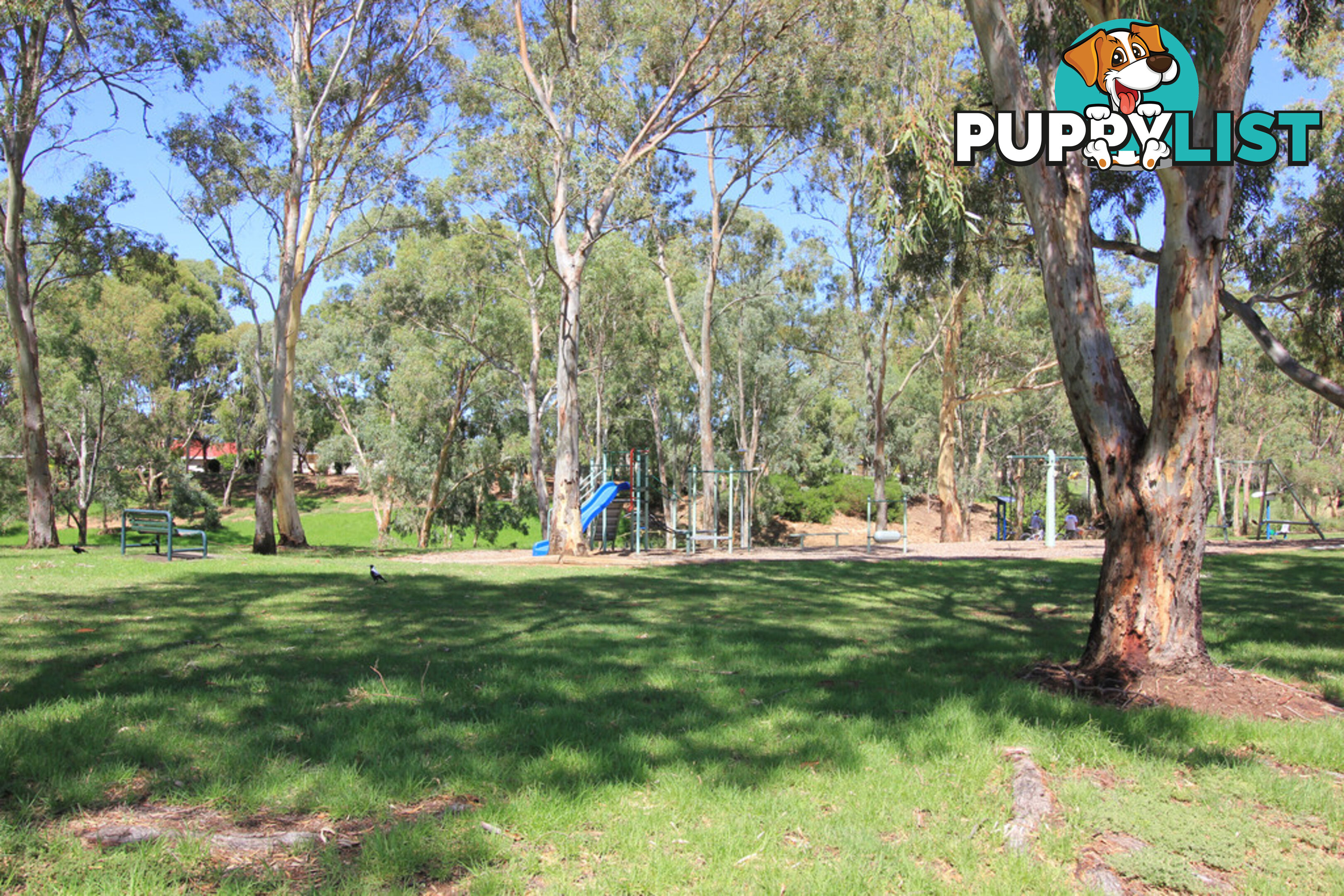 42 Greville Aveune FLINDERS PARK SA 5025