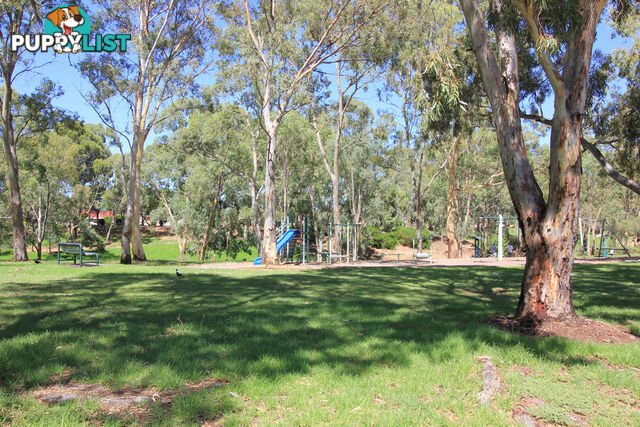 42 Greville Aveune FLINDERS PARK SA 5025
