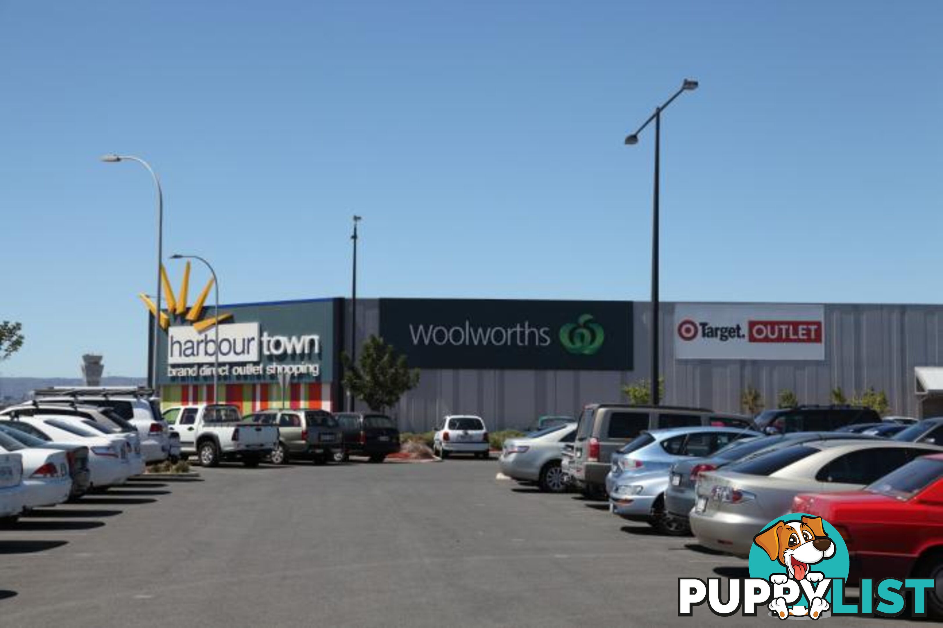 42 Greville Aveune FLINDERS PARK SA 5025