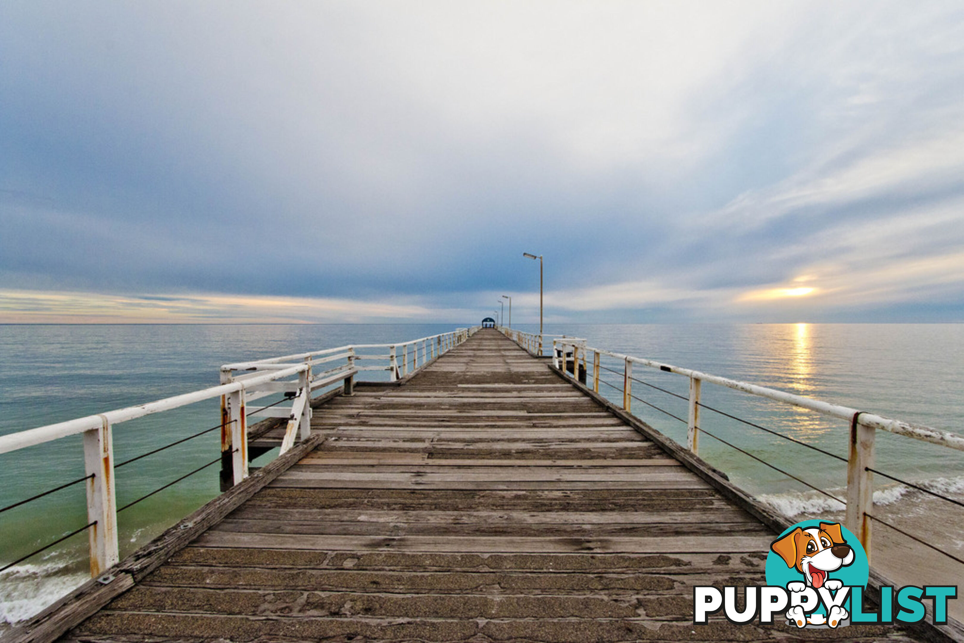 42 Greville Aveune FLINDERS PARK SA 5025