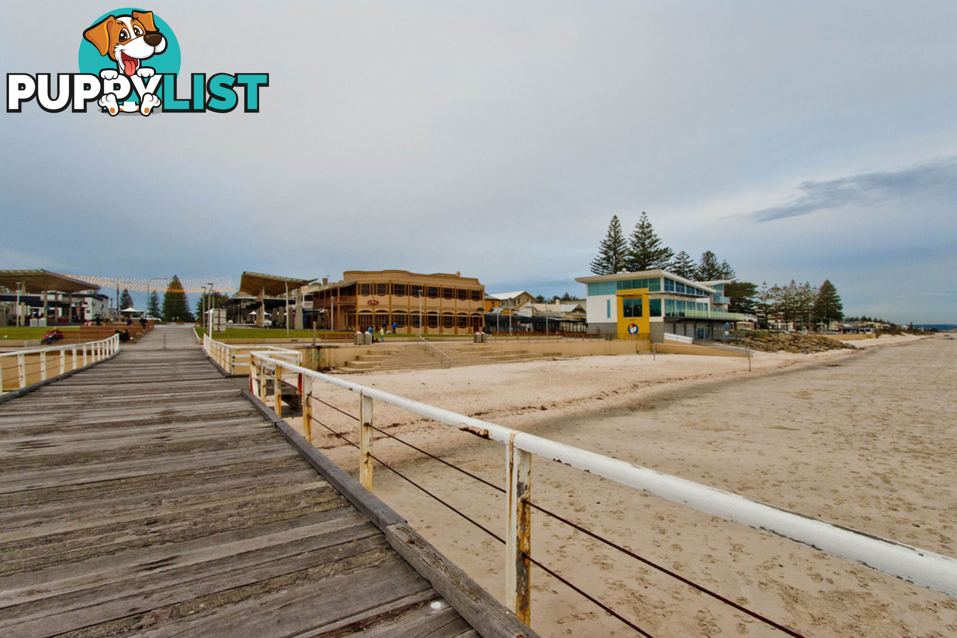 42 Greville Aveune FLINDERS PARK SA 5025