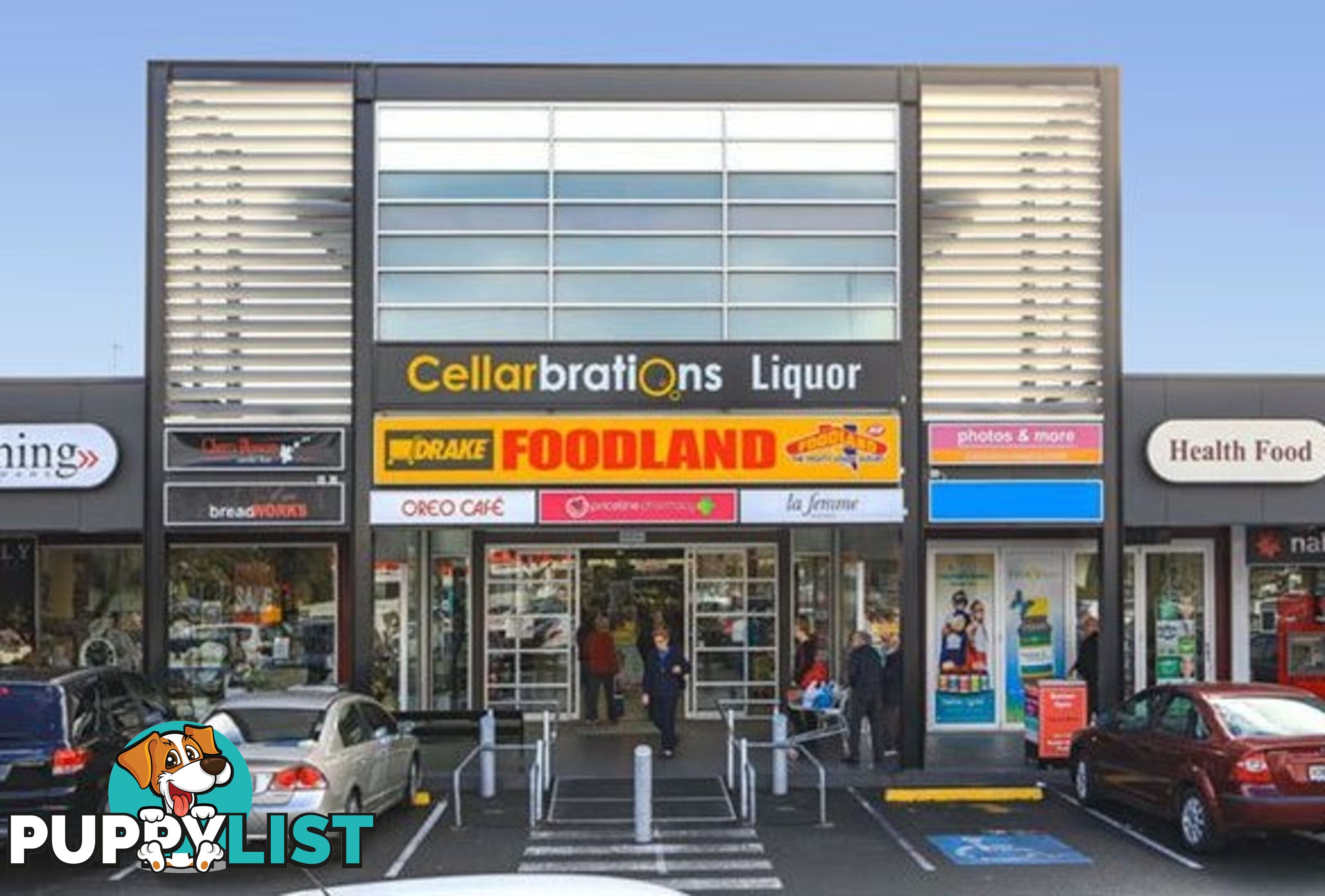 42 Greville Aveune FLINDERS PARK SA 5025