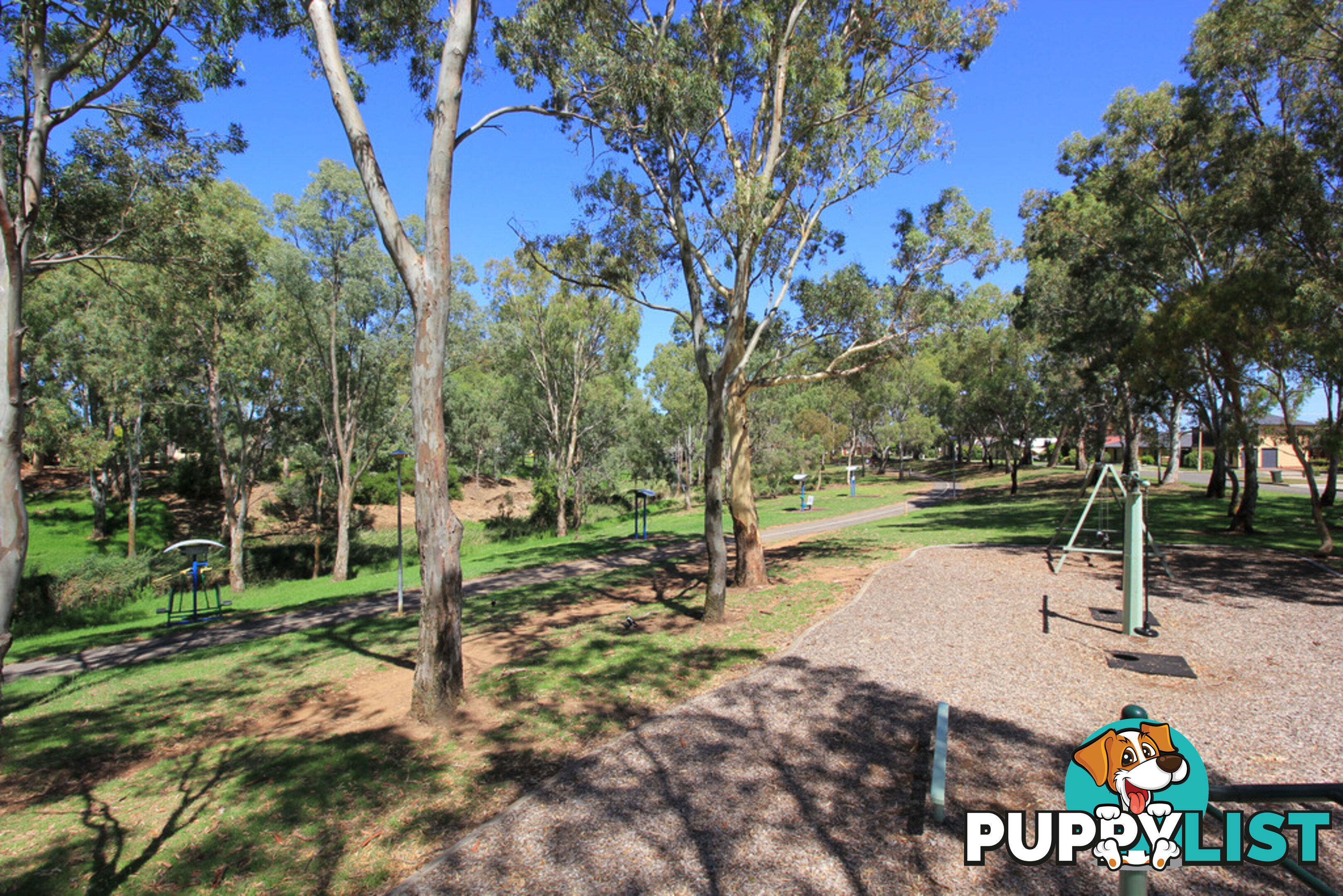 42 Greville Aveune FLINDERS PARK SA 5025