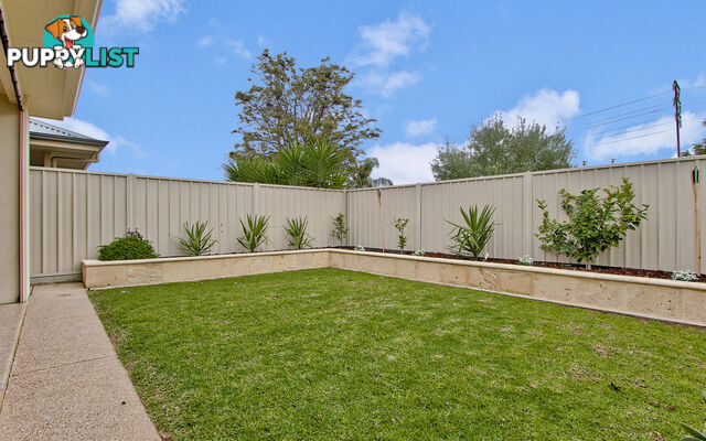 26 La Perouse Avenue FLINDERS PARK SA 5025