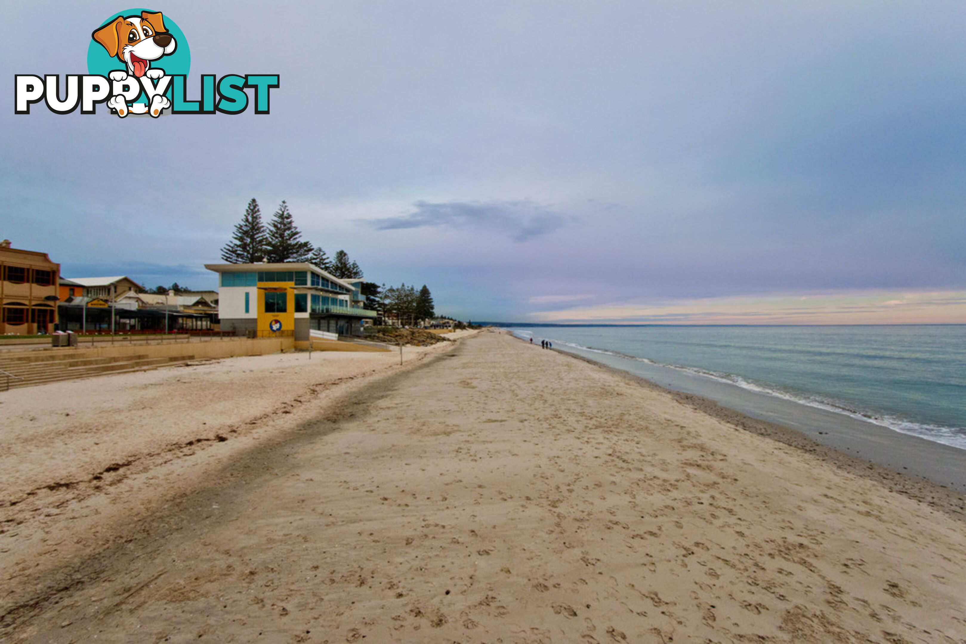 228/344 Seaview Road HENLEY BEACH SA 5022