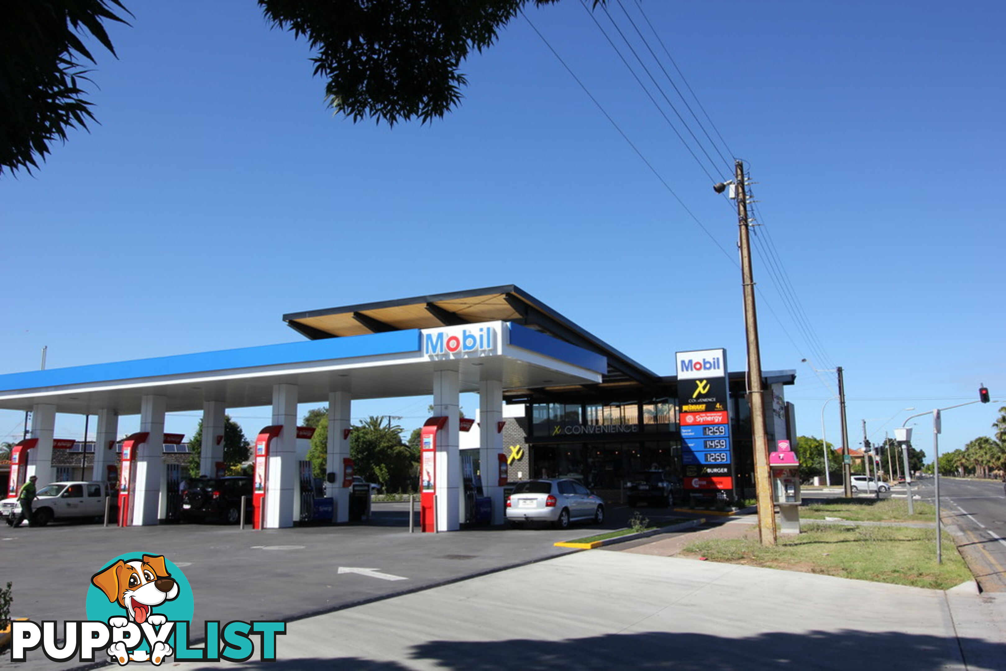 8/360 Anzac Highway PLYMPTON SA 5038