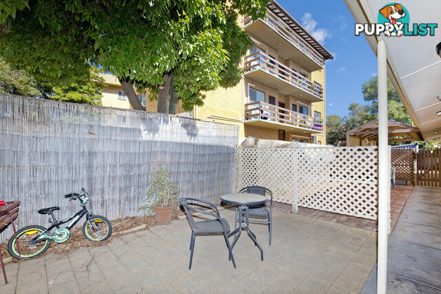 3/3 Henry Street PLYMPTON SA 5038