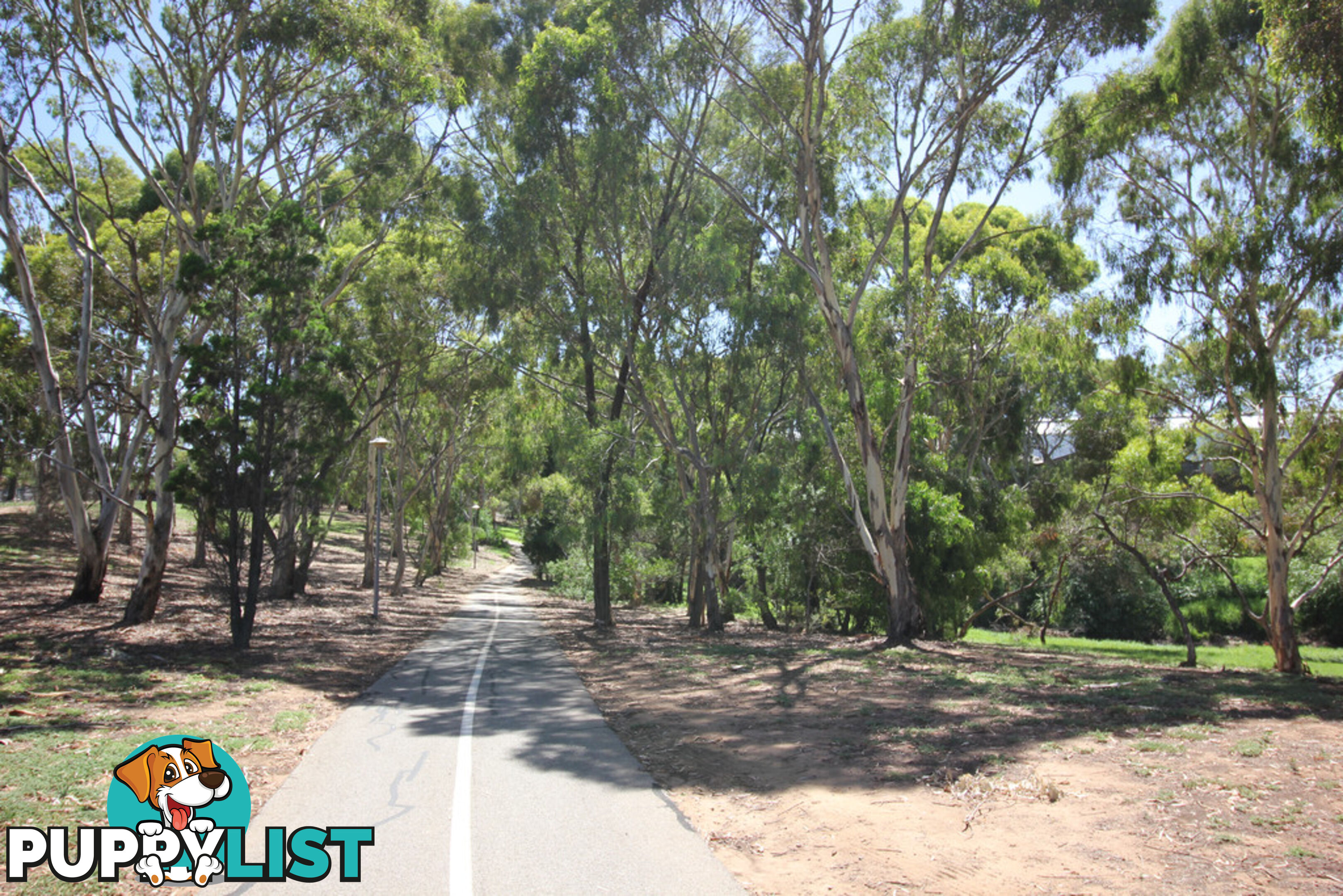 525 Henley Beach Road FULHAM SA 5024