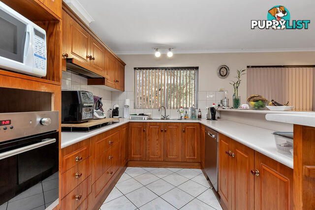 60 Welby Avenue SALISBURY EAST SA 5109