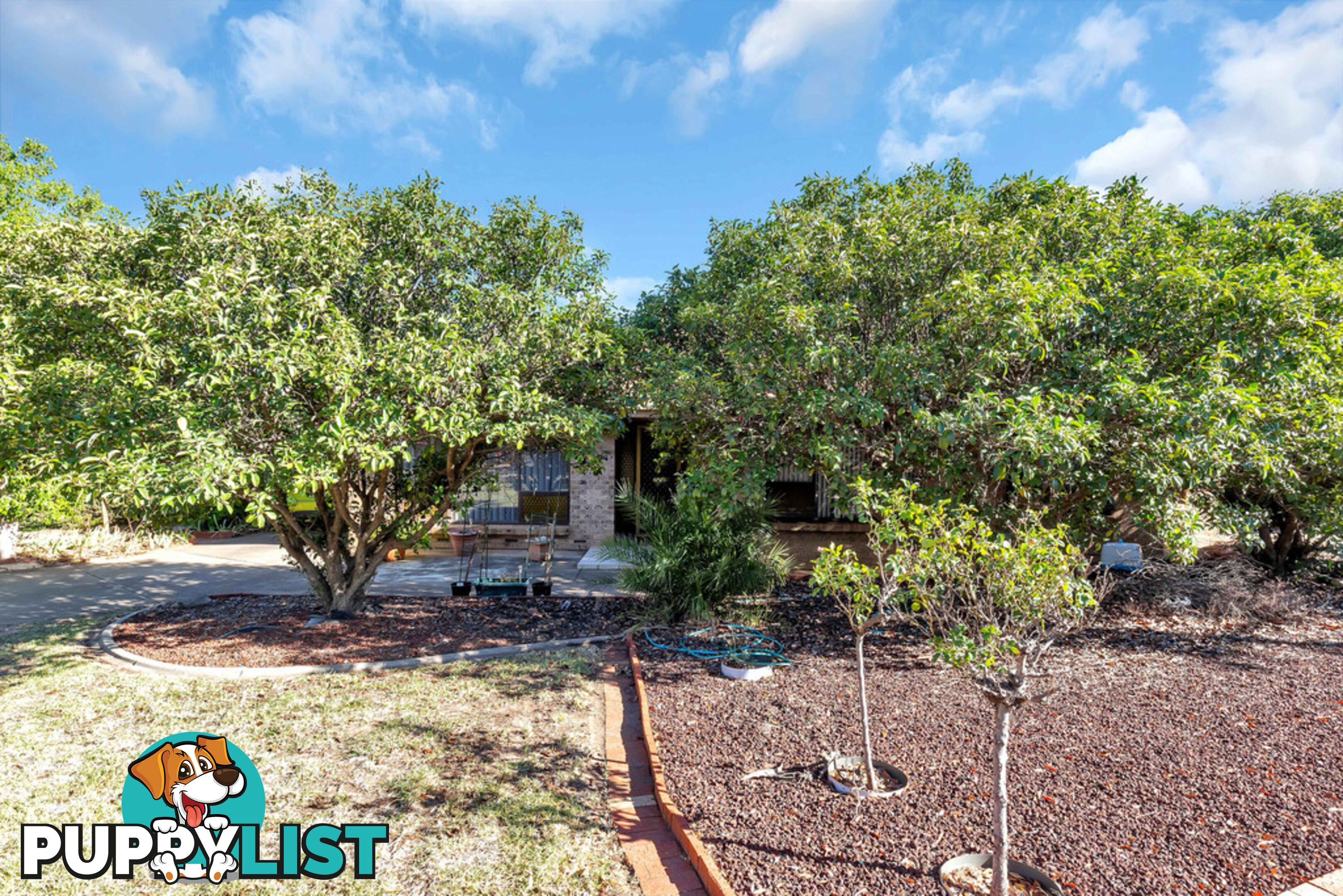 60 Welby Avenue SALISBURY EAST SA 5109