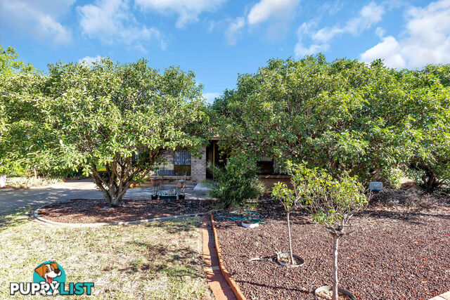60 Welby Avenue SALISBURY EAST SA 5109