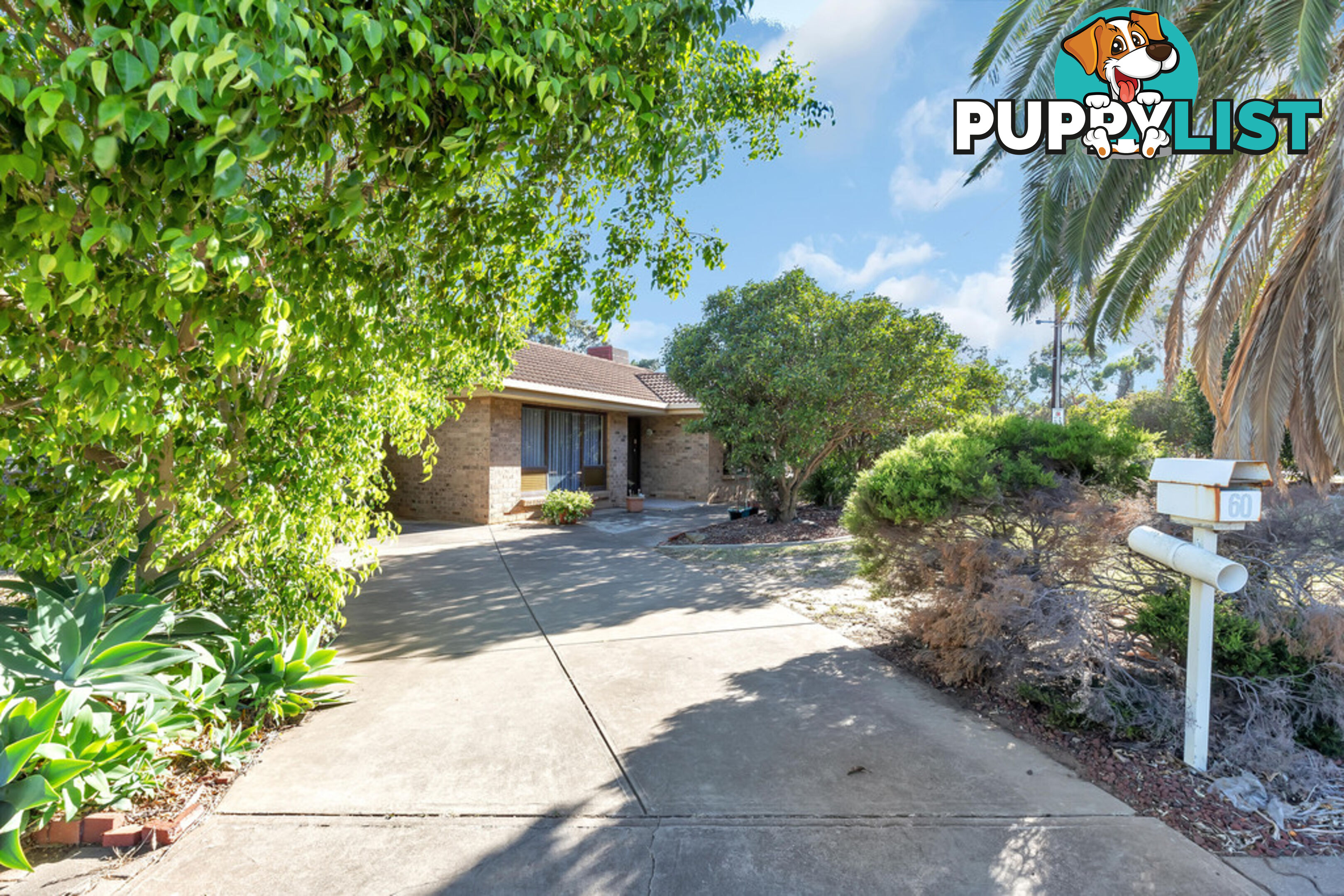 60 Welby Avenue SALISBURY EAST SA 5109