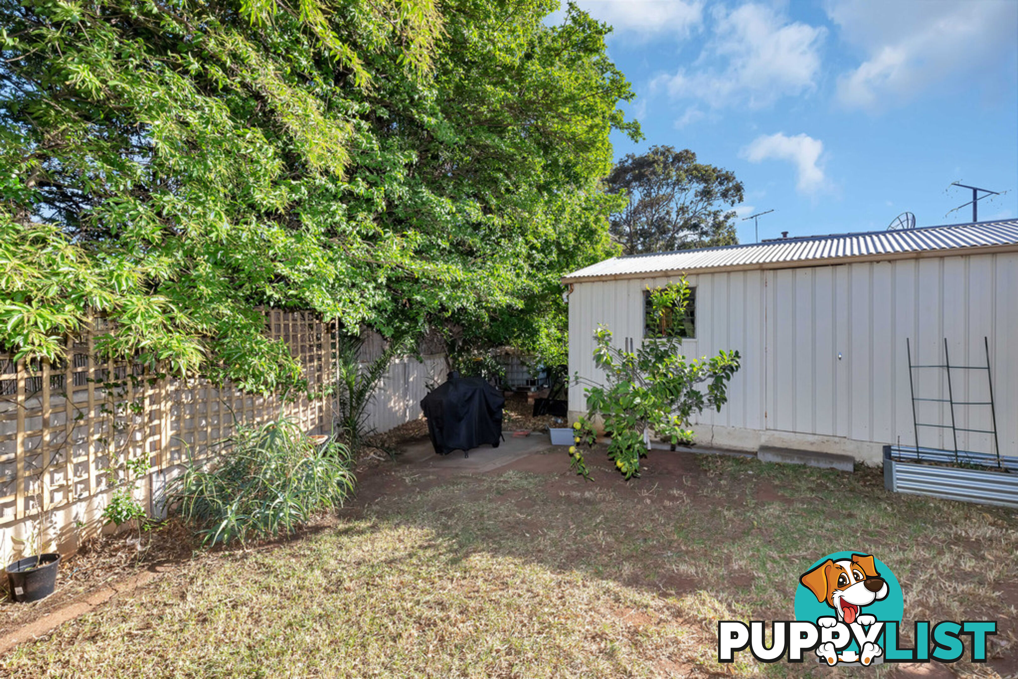 60 Welby Avenue SALISBURY EAST SA 5109