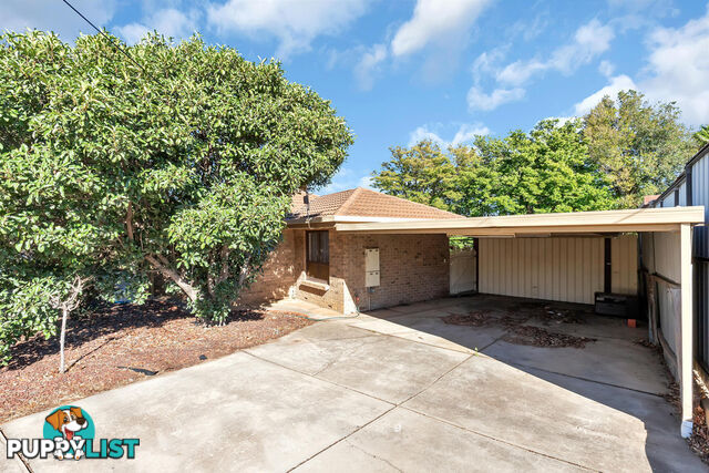 60 Welby Avenue SALISBURY EAST SA 5109