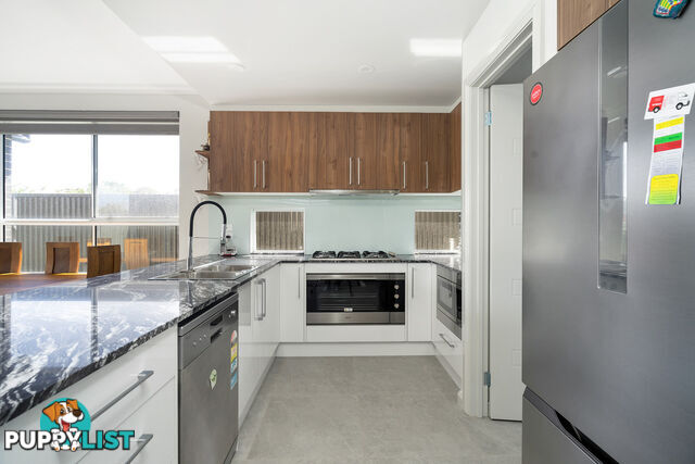 5 Gray Street WOODVILLE WEST SA 5011