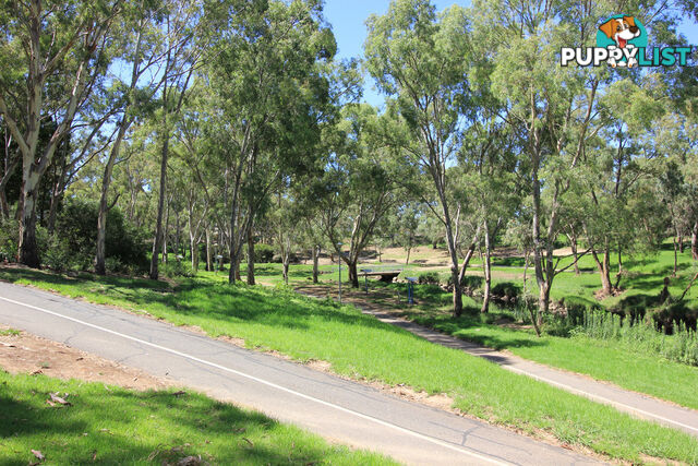 1 Thistle Avenue FLINDERS PARK SA 5025