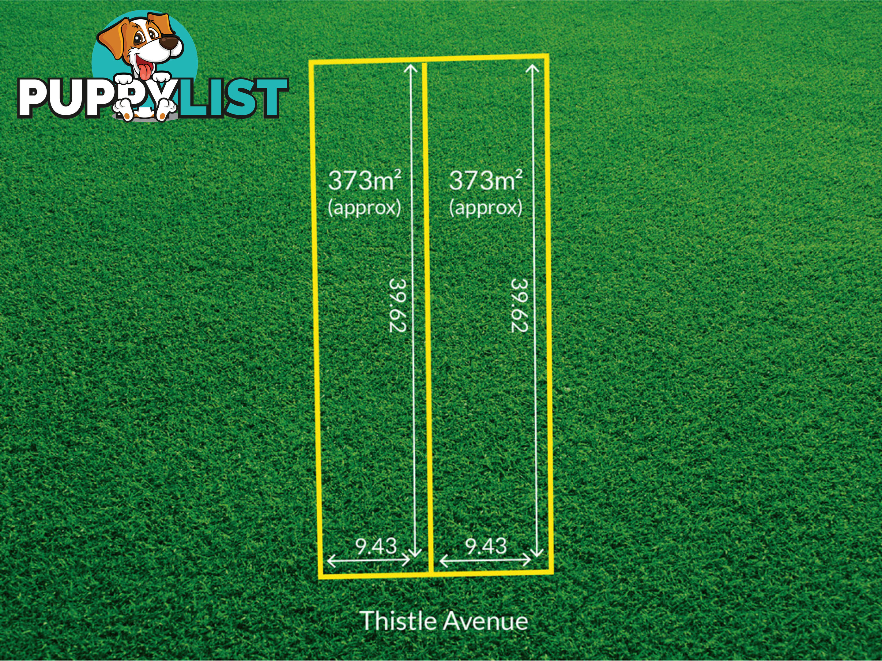 1 Thistle Avenue FLINDERS PARK SA 5025