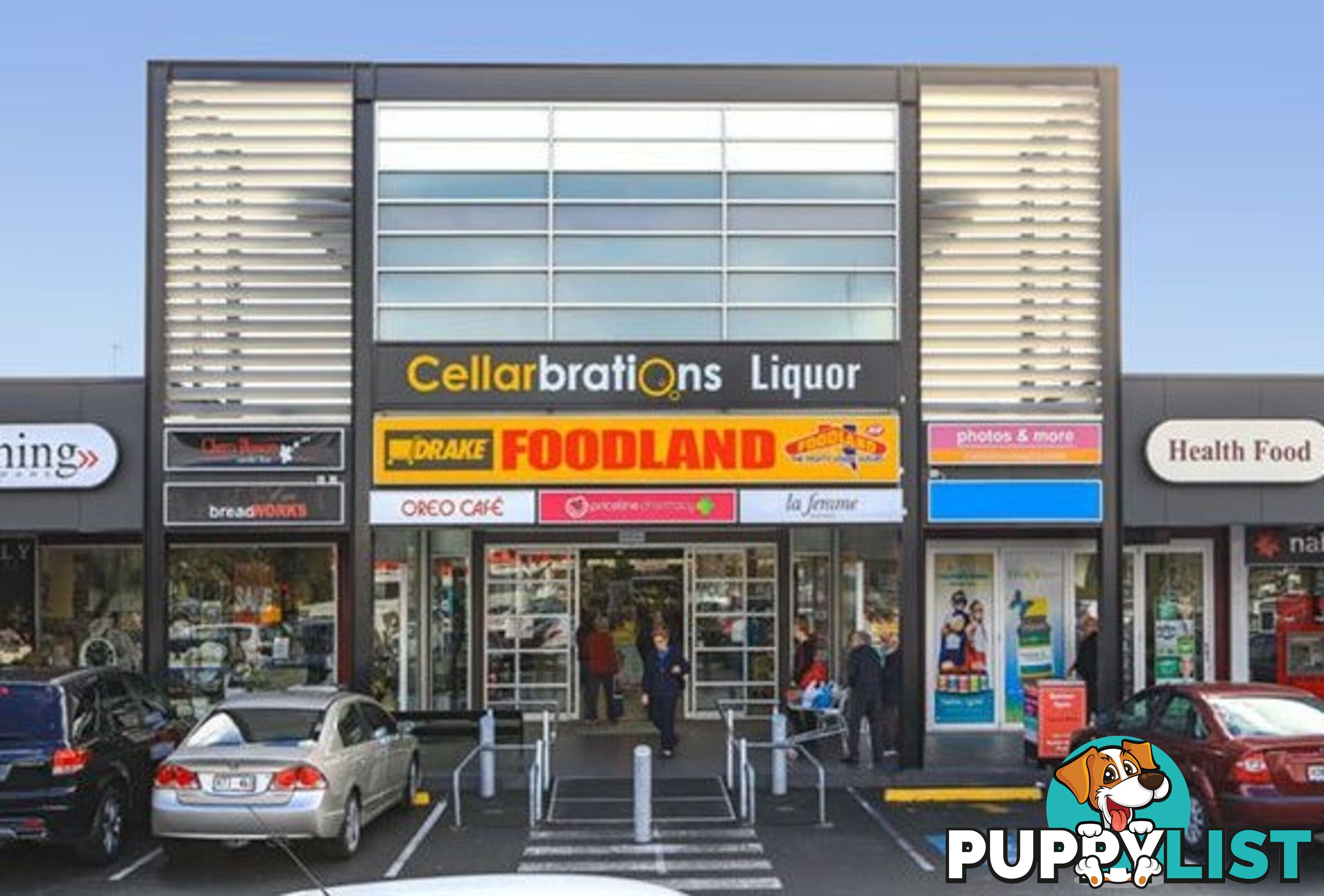 1 Thistle Avenue FLINDERS PARK SA 5025