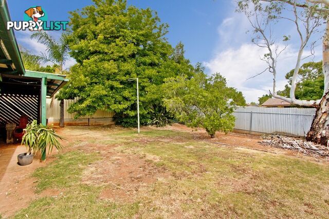 107 Winchester Street SALISBURY EAST SA 5109