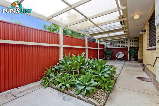 1/9 Findon Road WOODVILLE SOUTH SA 5011