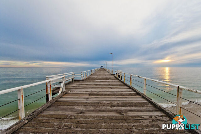 9 Glen Elder Street FINDON SA 5023
