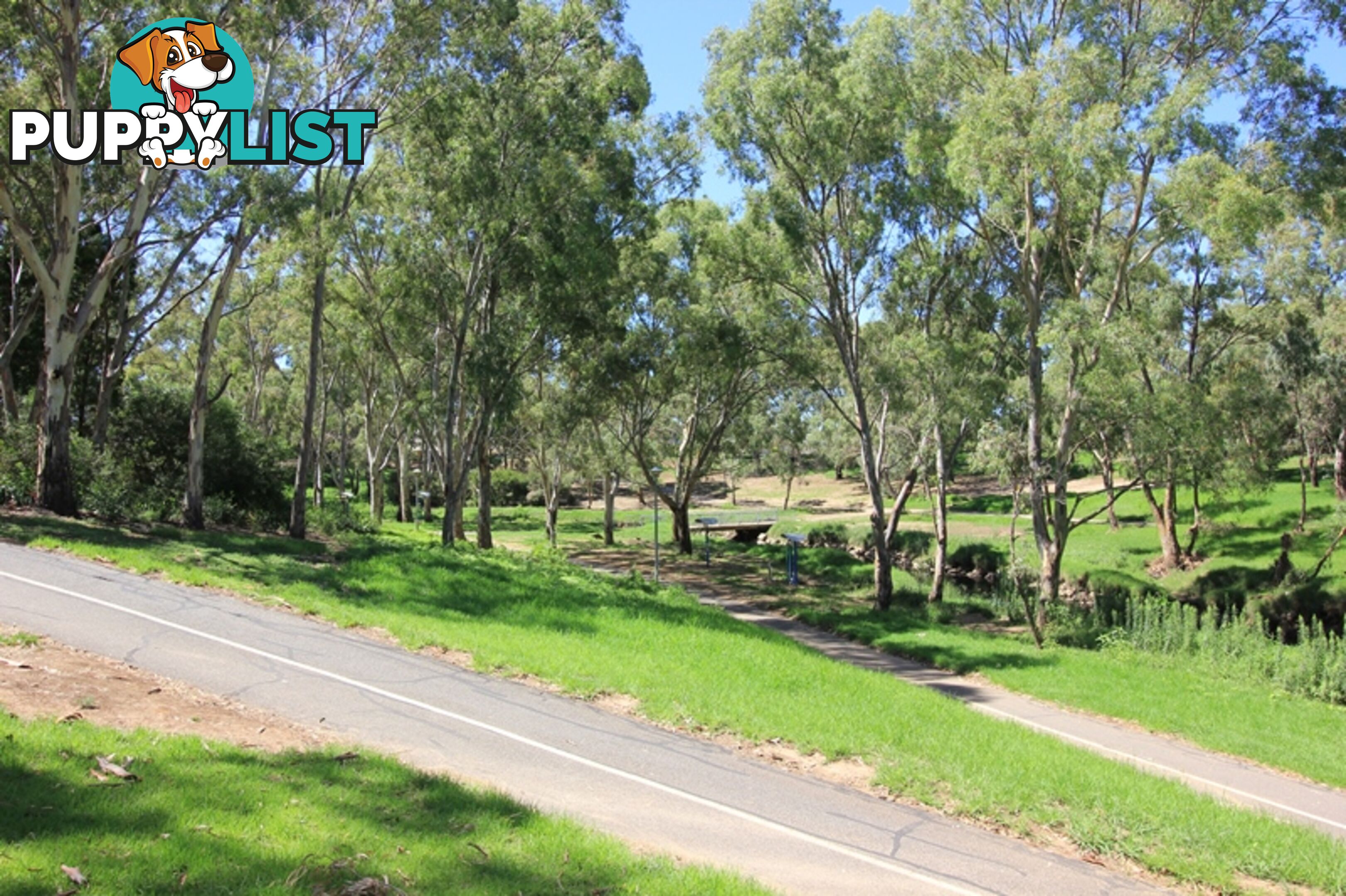 67 Hartley Road FLINDERS PARK SA 5025