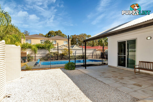 7 Beatty Street FLINDERS PARK SA 5025