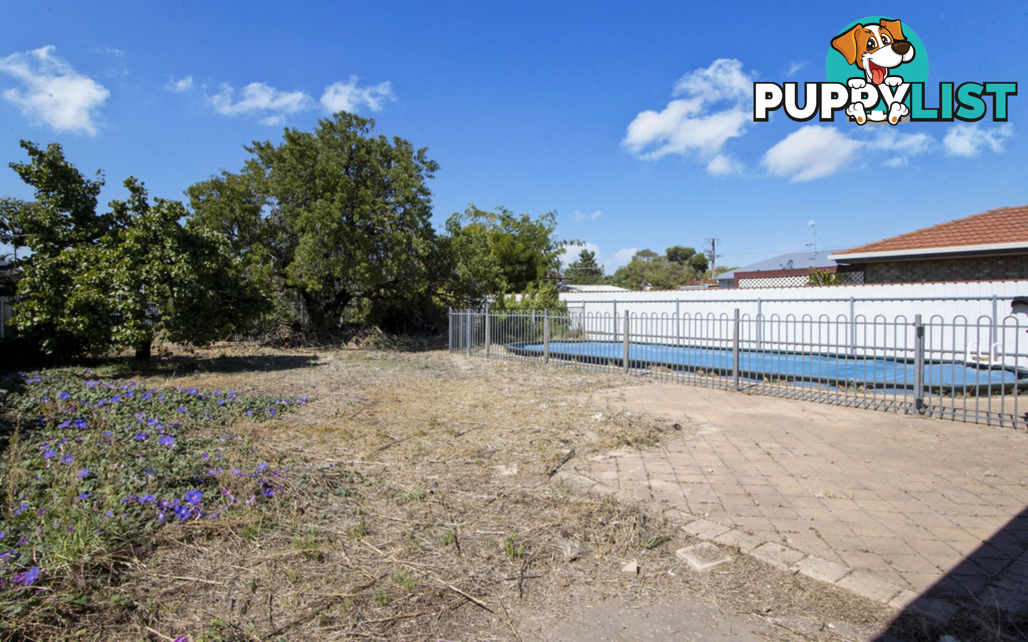 115 Gordon St ALBERT PARK SA 5014