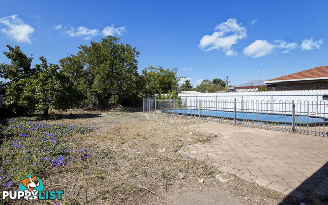 115 Gordon St ALBERT PARK SA 5014