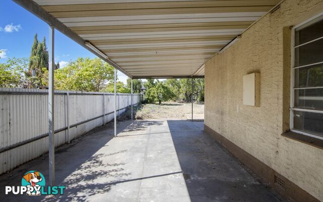 115 Gordon St ALBERT PARK SA 5014