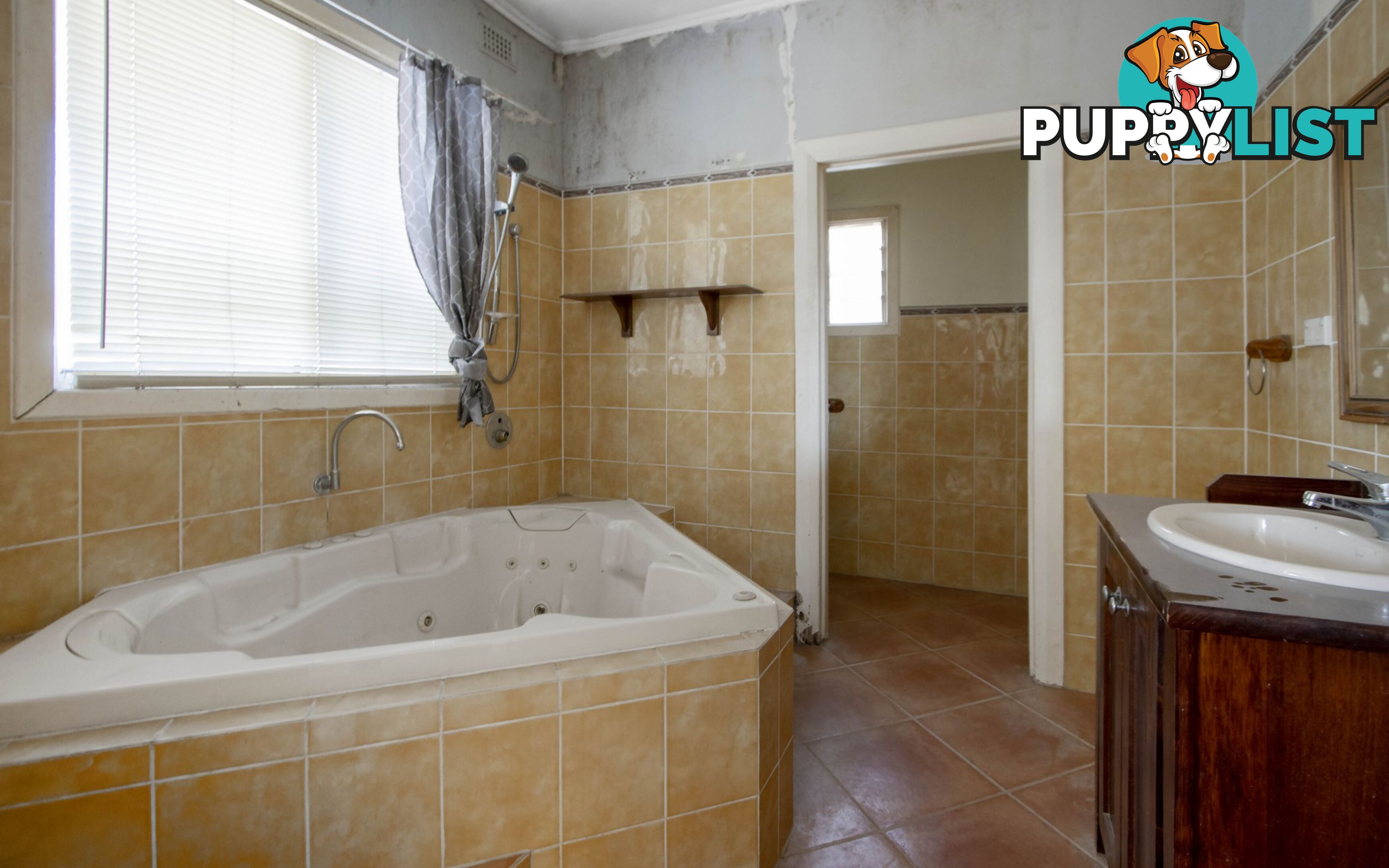 115 Gordon St ALBERT PARK SA 5014