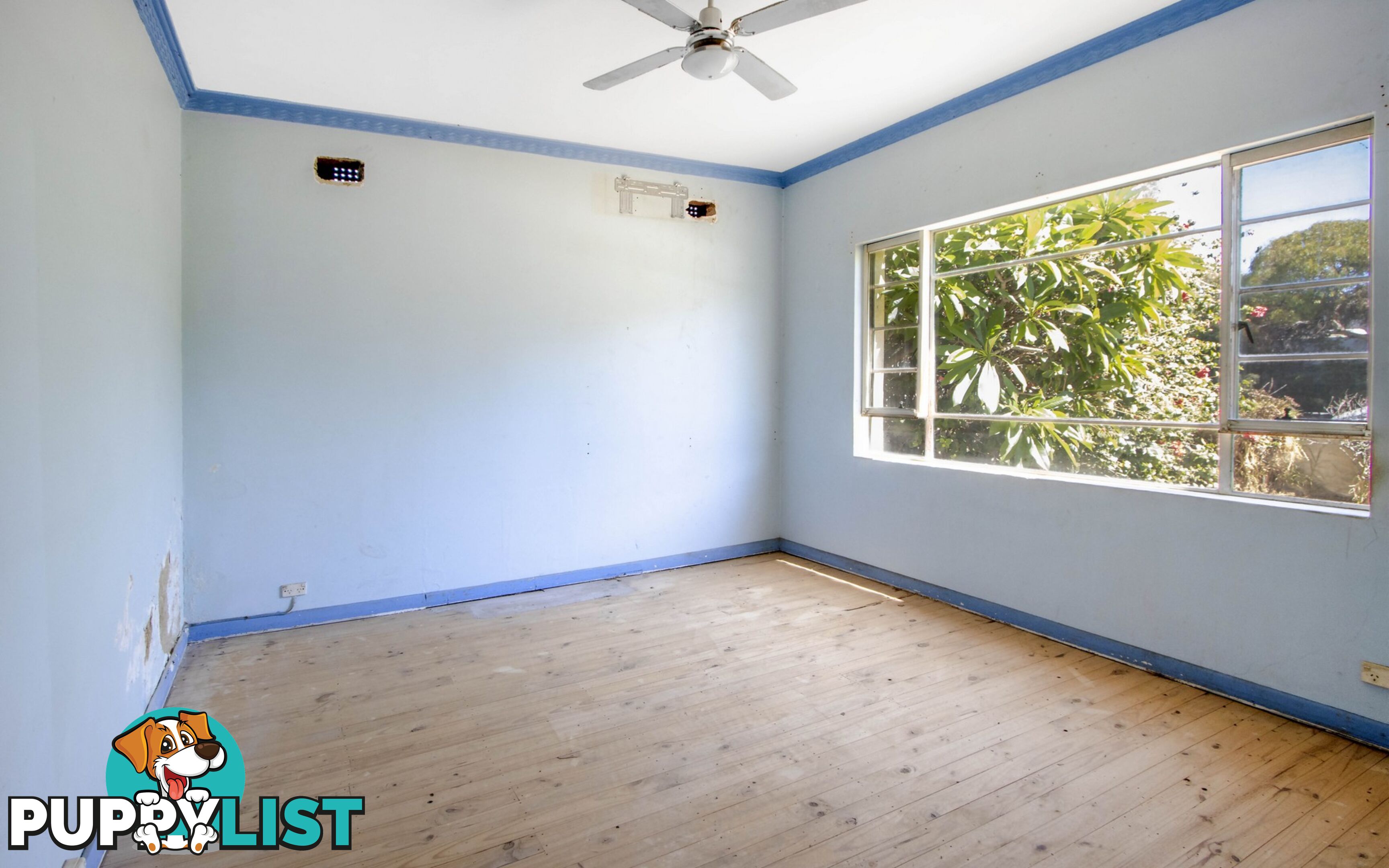 115 Gordon St ALBERT PARK SA 5014