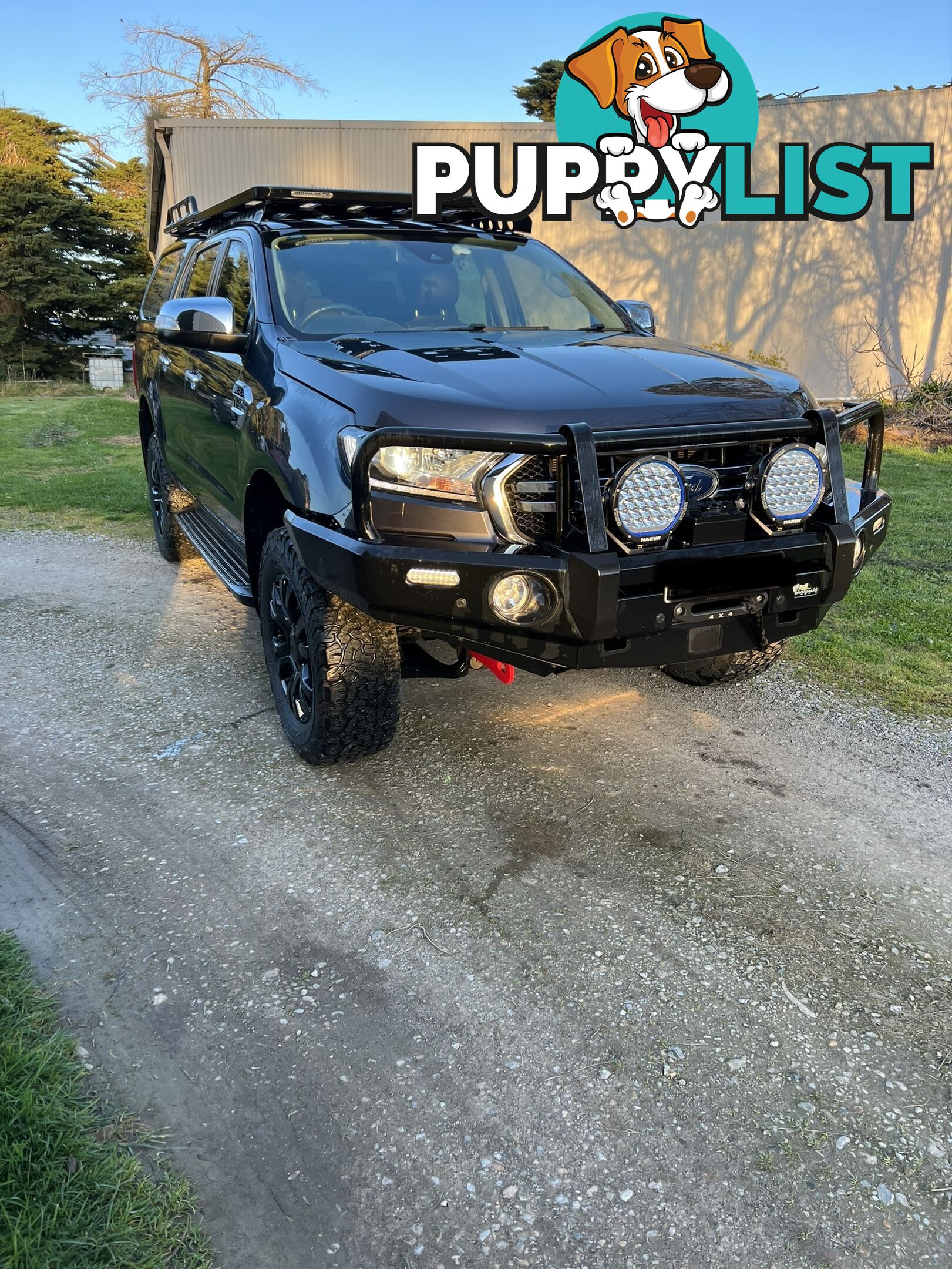 2019 Ford Ranger PX MKII XLT Ute Automatic