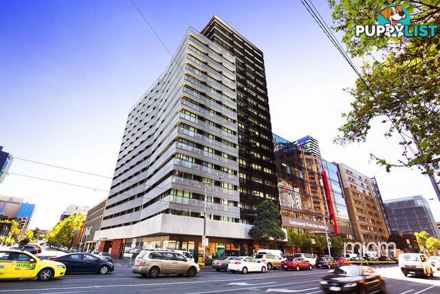 412/6 Leicester Street CARLTON VIC 3053