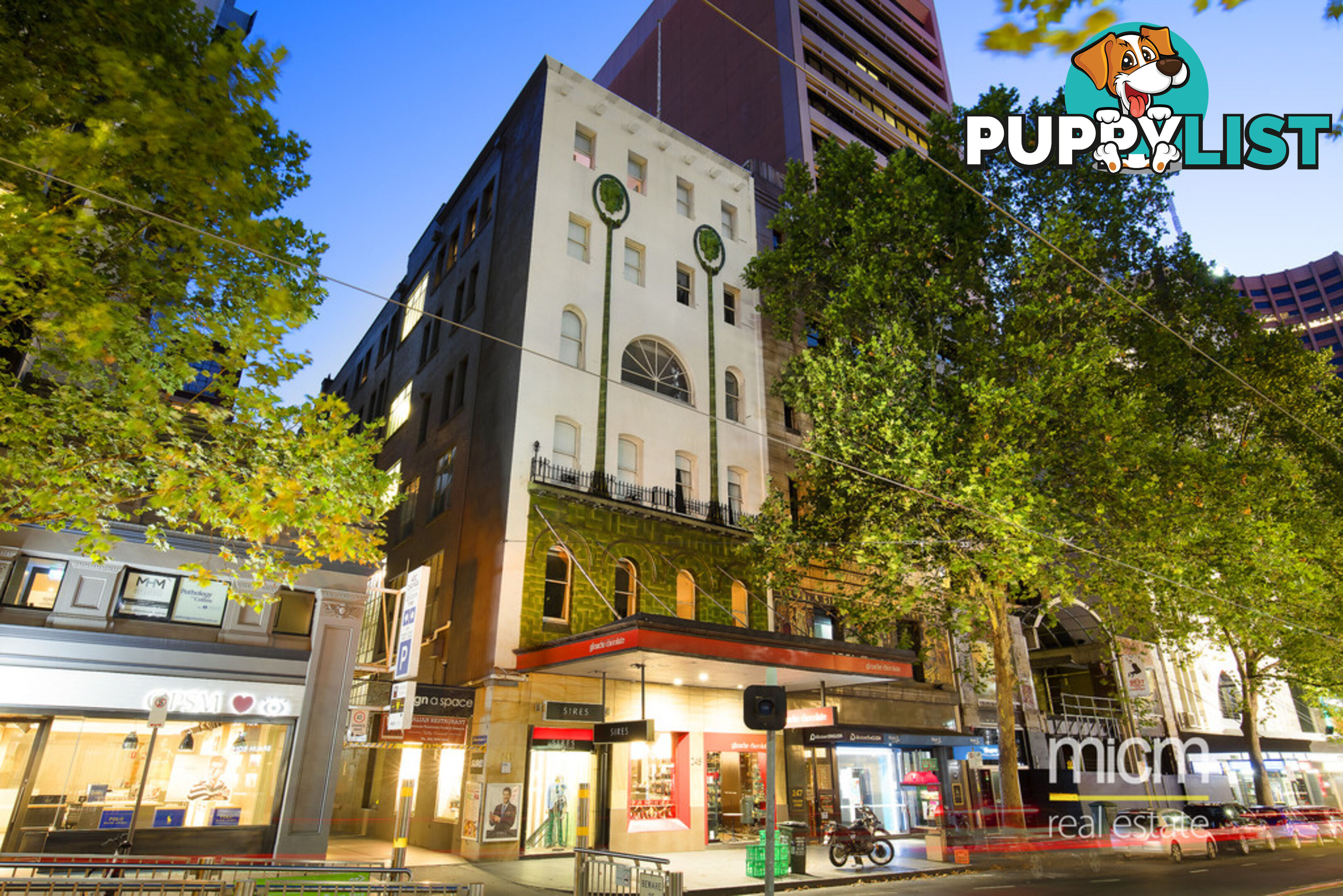 204/243 Collins Street MELBOURNE VIC 3000