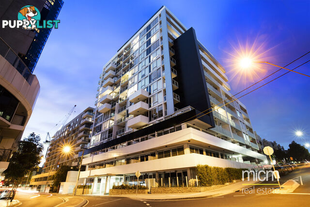 17/77 River Street SOUTH YARRA VIC 3141