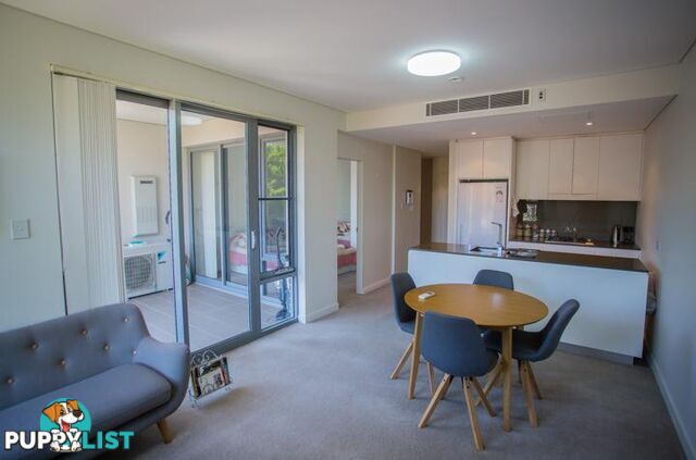 17/15-21 Mindarie Street Lane Cove NSW 2066