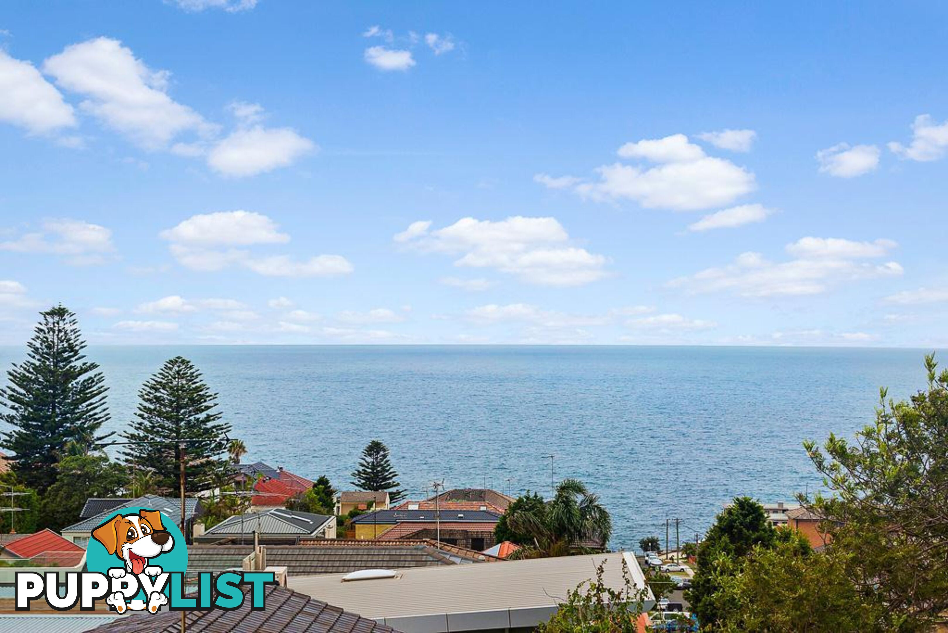 3/6 Oceanview Street Vaucluse NSW 2030