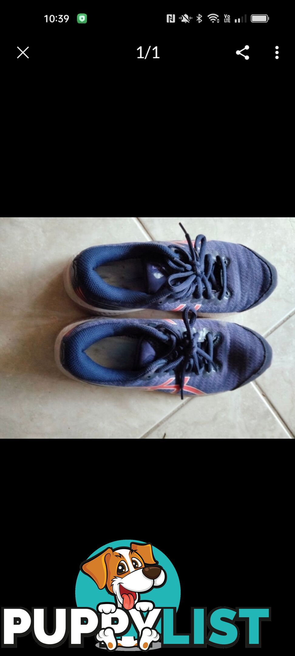 Shoes shoes