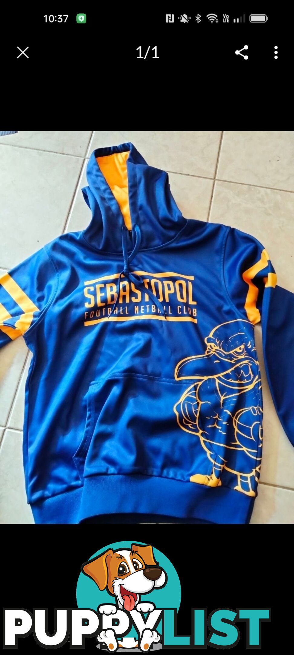 Hoodie