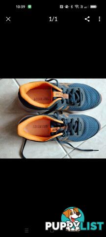 Shoes shoes