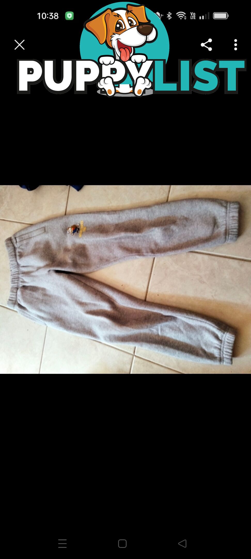 Pants