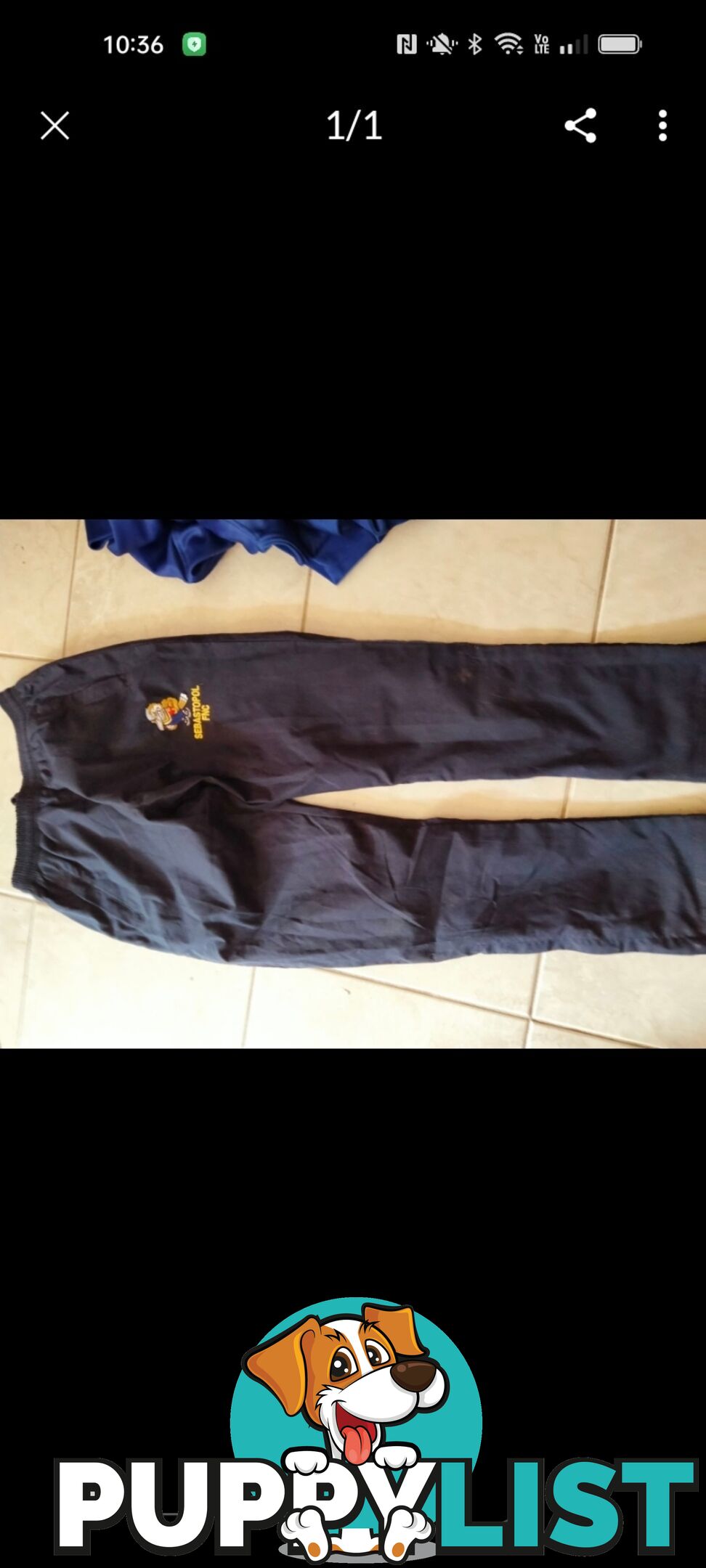 Pants