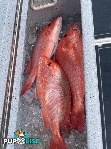 2022 Cruise Craft Fish 360S Centre Console